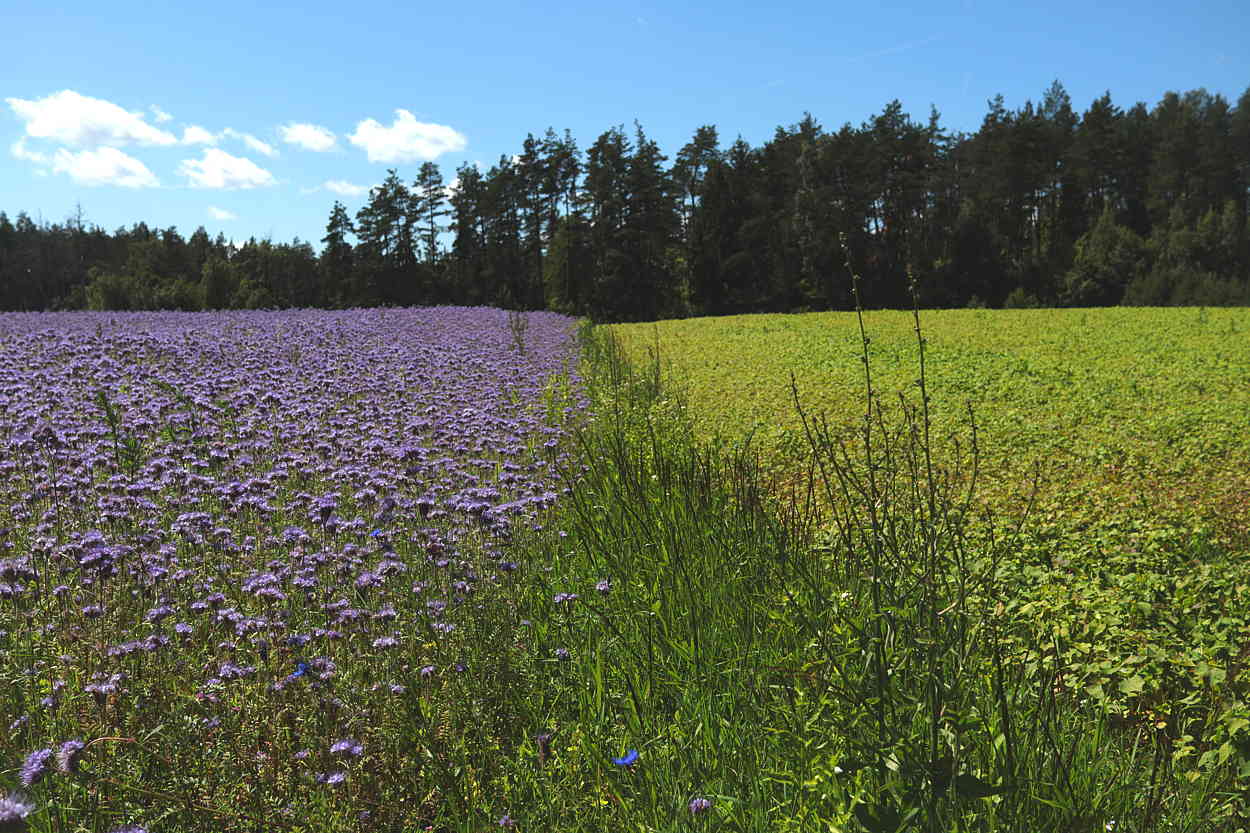 Baltikum – Litauen und Lettland – Grenzen I