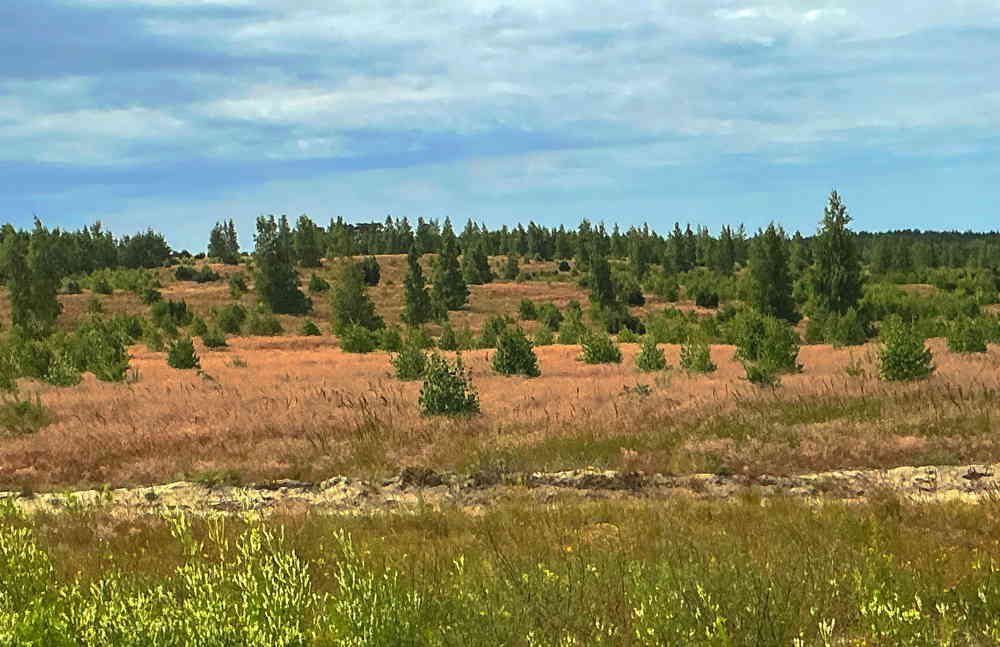 Kurische Nehrung – Natur für die Seele