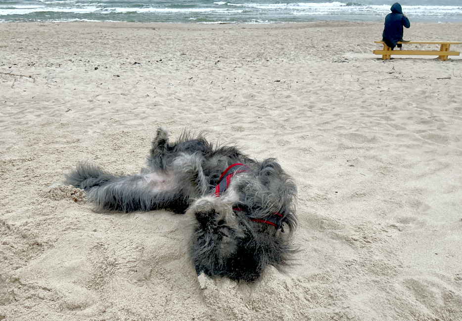 Palanga – barrierefreies Strandvergnügen