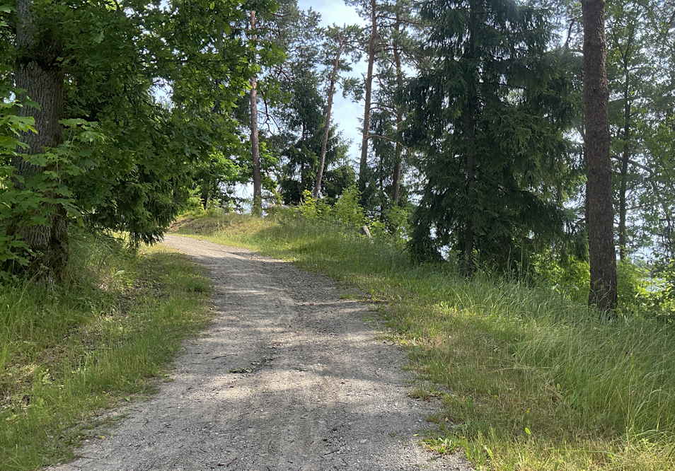 Für Rollstuhlfahrer geeigneter Waldweg am See.