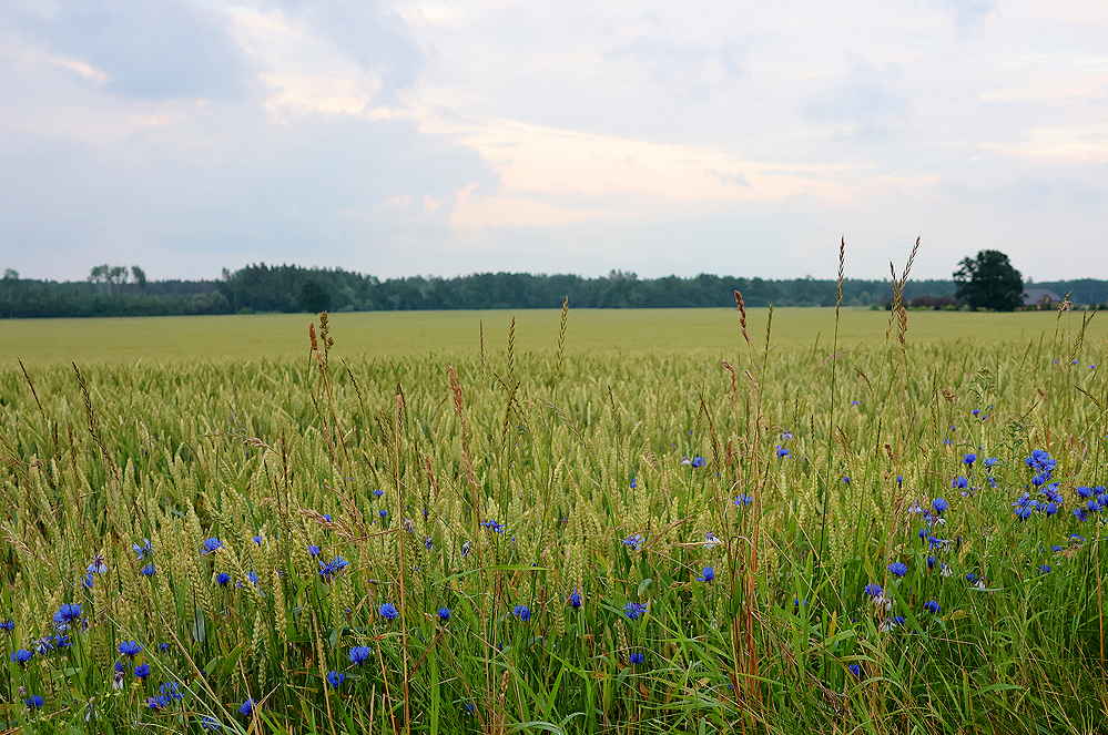 Litauen unterwegs