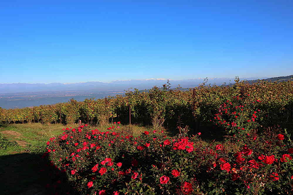 Piemont – Perle am Fuß der Berge