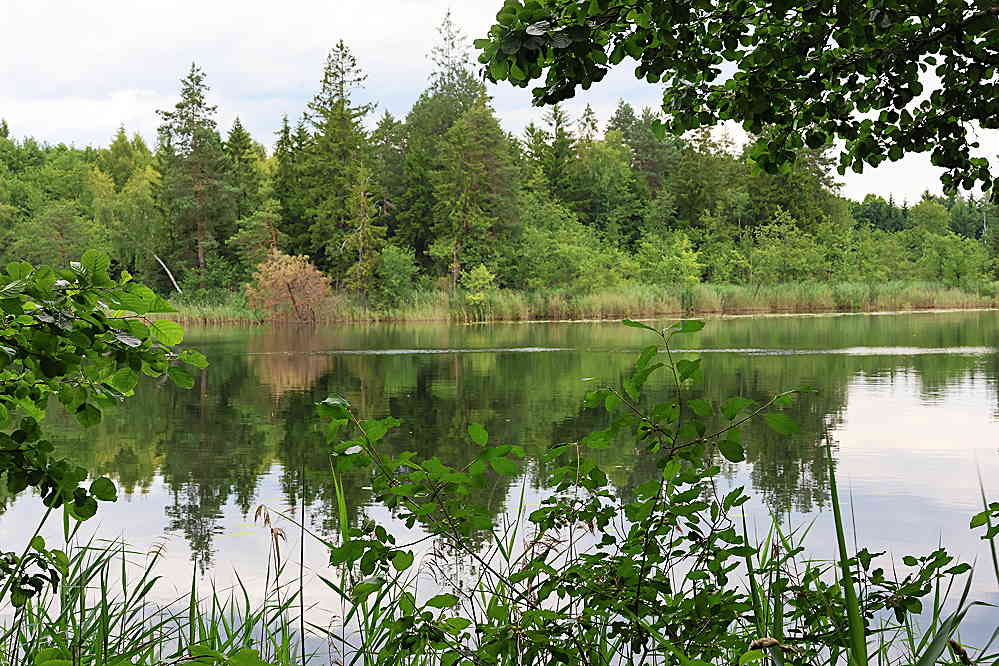 Wigry-Nationalpark – zu schön nur für einen Zwischenstopp