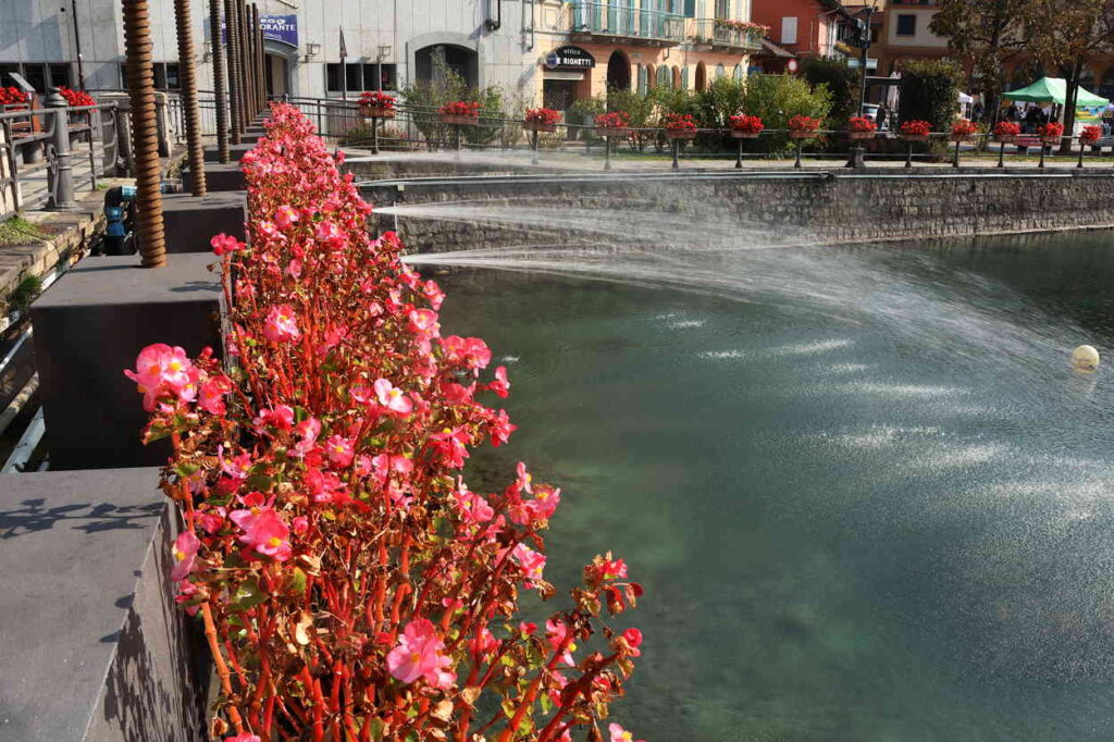 Wasserfontänen unter leutchend roter Begionen-Rabatte von der Brücke in den Fluss Strona
